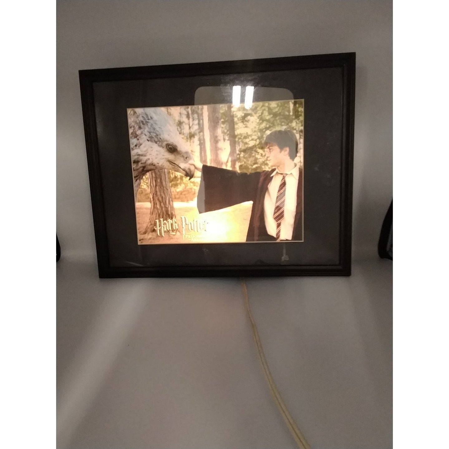 Harry Potter & the Prisoner of Azkaban photo art box w/light