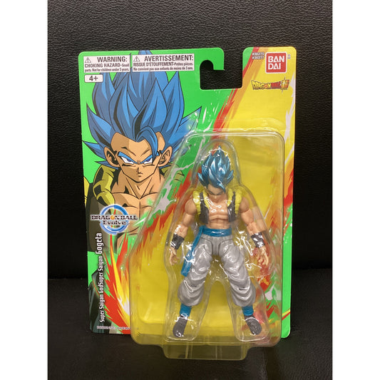 2021 Dragon Ball Super Evolve- Super Saiyan GodSuper Saiyan Gogeta